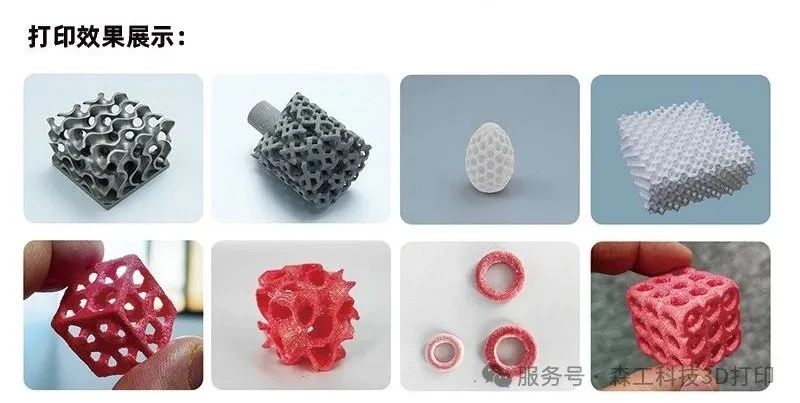 生物3d打印機(jī)打印效果